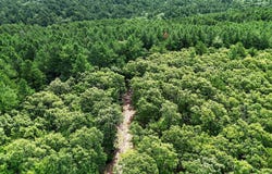 Caughern Ln, Heavener, OK 74937