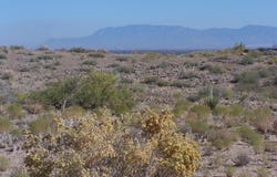 Erica Lane, Belen, NM 87002