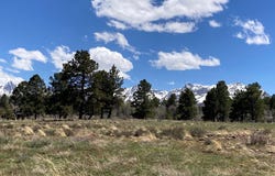 14 County Road 62X, Placerville, CO 81430