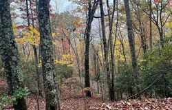 Poplar Ridge Ln, Franklin, NC 28734