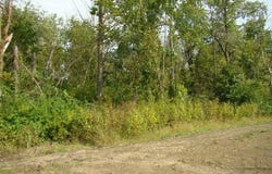 507 E Anthony, Corydon, IA 50060