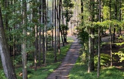 Gum Tree Rd, Orange, VA 22960