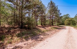 6077 County Road 4200, PENNINGTON, TX 75856