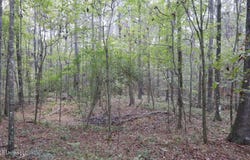 Westline Lots Drive, Madison, MS 39110
