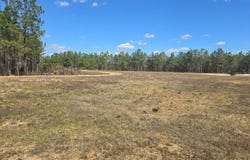 Highway 82 E, Centreville, AL 35042