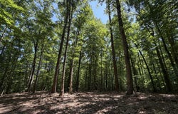 PARRISH Road lot: 4A, LOUISA, VA 23093
