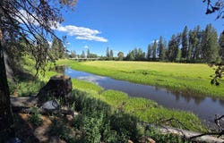 123 Cusick Meadows Rd, Cusick, WA 99119