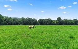18401 W Highway 28, Waldron, AR 72958