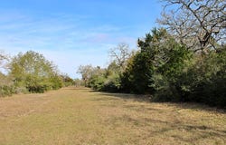 Parcel 4 Lobo Lane, Columbus, TX 78934