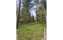 1537 Shadow Run, Ashton, ID 83420