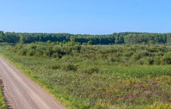 Meadowview Rd, Brainerd, MN 56401