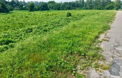 Sunflower Road, Saint Matthews, SC 29135
