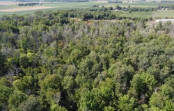 Crockard, Bad Axe, MI 48413