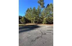 Big Horse Drive, Waynesville, GA 31566