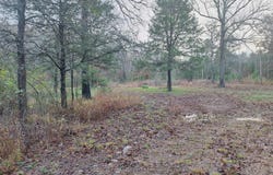 7449 Hwy 270, Boles, AR 72926