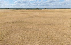 TBD Tract 3 County Road 3565, China Spring, TX 76633