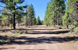 26400 Butte Creek Rd., MacDoel, CA 96058