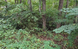 203 BATTLEFIELD Road, LOCUST GROVE, VA 22508