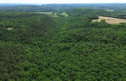 E Mountain Road, Bee Branch, AR 72013