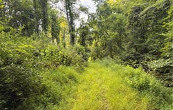 Dairy Road, Poca, WV 25159