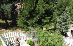 1076 Calanda, Crestline, CA 92325