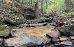 Tract 2 Sheep Ranch Road, Robbins, TN 37852