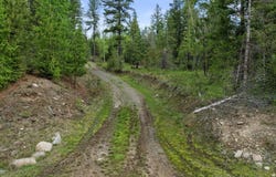 Amethyst Lane lot: 1, Cocolalla, ID 83813