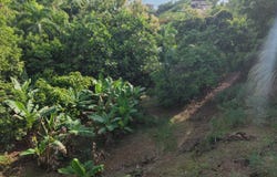 Rincon, Rincon, PR 00677