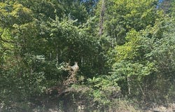 6360 Wilder Hwy lot: 364A, Wilder, TN 38589