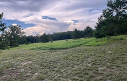 0 Prospect Street, Bowman, SC 29018