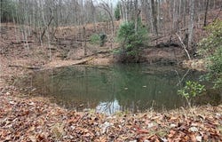 Casey Mountain Road lot: 218, Purlear, NC 28665