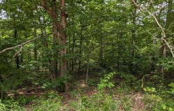 E Lakeshore Drive, Ozark Acres, AR 72482