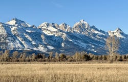 N TIMOTHY Road, Jackson, WY 83001