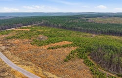 Longview Ridge lot: 6, Dunlap, TN 37327