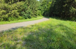 1WP Route 221, Lapeer, NY 13803