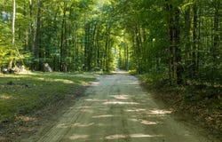 36 N Coe Road, Luther, MI 49656