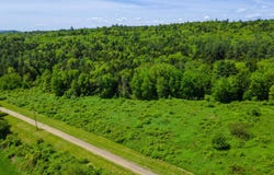 Pine Banks Road, Westminster, VT 05346