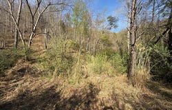 1083 Left Fork Toler Creek, Harold, KY 41635