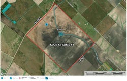 3361 FM 1862, Palacios, TX 77465
