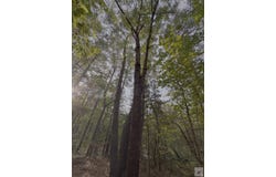 1885 Co rd 2342, Marietta, TX 75566