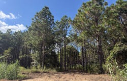 004 Five Bridges Road, Blakely, GA 39823