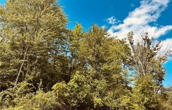 Lake Road, Medina, OH 44256