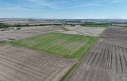 Logan Ave, Mount Pleasant, IA 52641