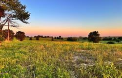 596 County Road 339, Gainesville, TX 76240