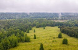 Wildcat Hollow, Greenbrier, AR 72058