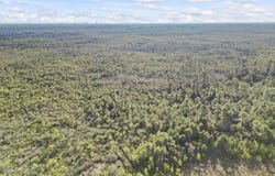 Sugar Bowl Ln., Longs, SC 29568