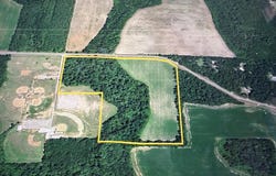 31.82+-ac D Hodge Rd, Cottonwood, AL 36320
