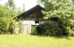 Billstown Road, Delight, AR 71940