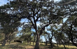 1911 Wayside Dr, Wimberley, TX 78676