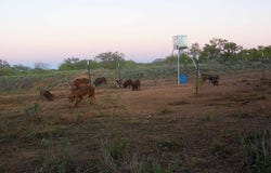 U S Highway 277, Bronte, TX 76933